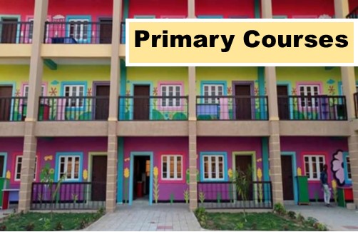 Primary School Subjects Division
